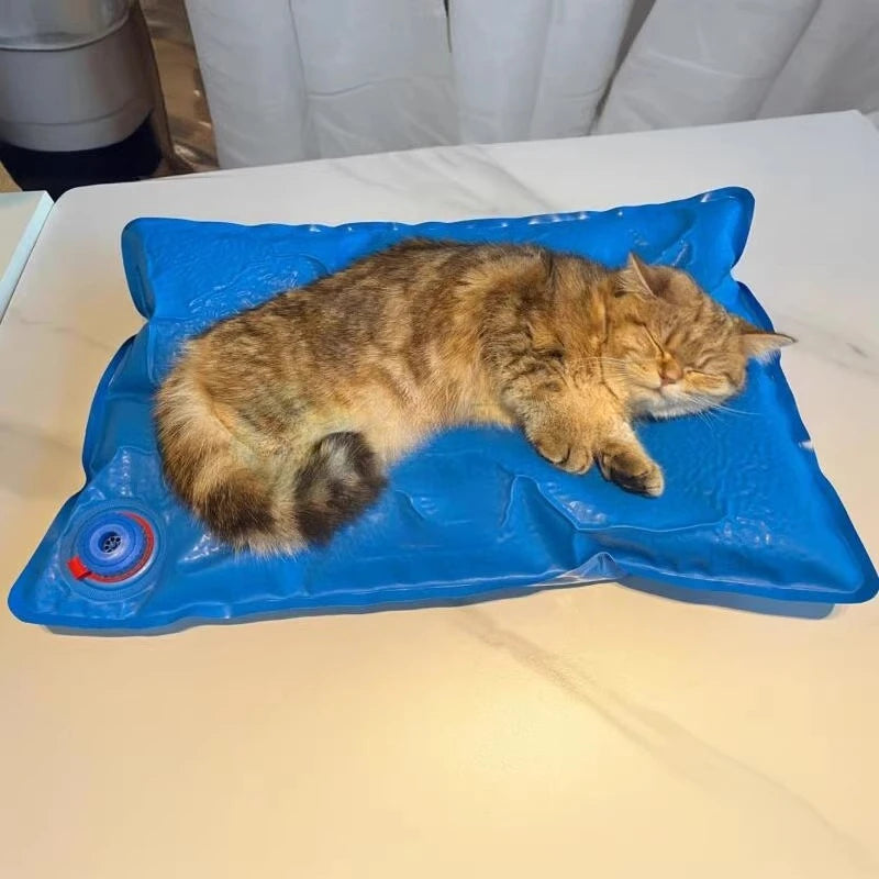 Animal Surgical Accessories Pet Vacuum Positioning Mat Small Veterinary Examination Pad,60-100cm, pet clinic equipment