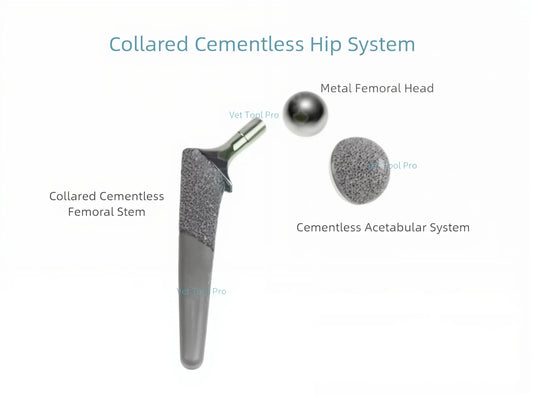 Collared Cementless Hip System Femoral Stem Cementless: Complete Comparison & Clinical Guide