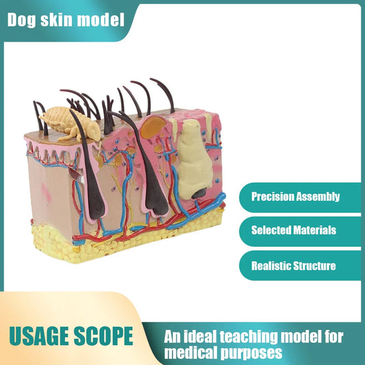 Dog Skin Model Simulated Insect Bite Canine Skin Applications: Veterinary Use Cases & Best Practices