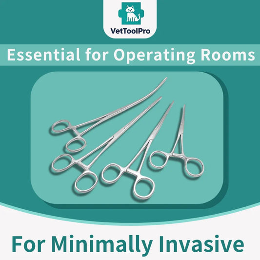 stainless steel Intestinal forceps anastomotic forceps Applications: Clinical Use Cases & Best Practices