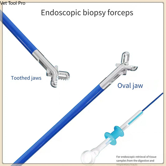 Best Disposable Endoscopic Biopsy Forceps 5pcs 2025: Comprehensive Buying Guide