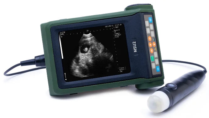 Vet Ultrasound, Mechanical ultrasonic diagnostic for sheep/dog/pig, 5.7 "high resolution color LED ,3.5MHz waterproof probe