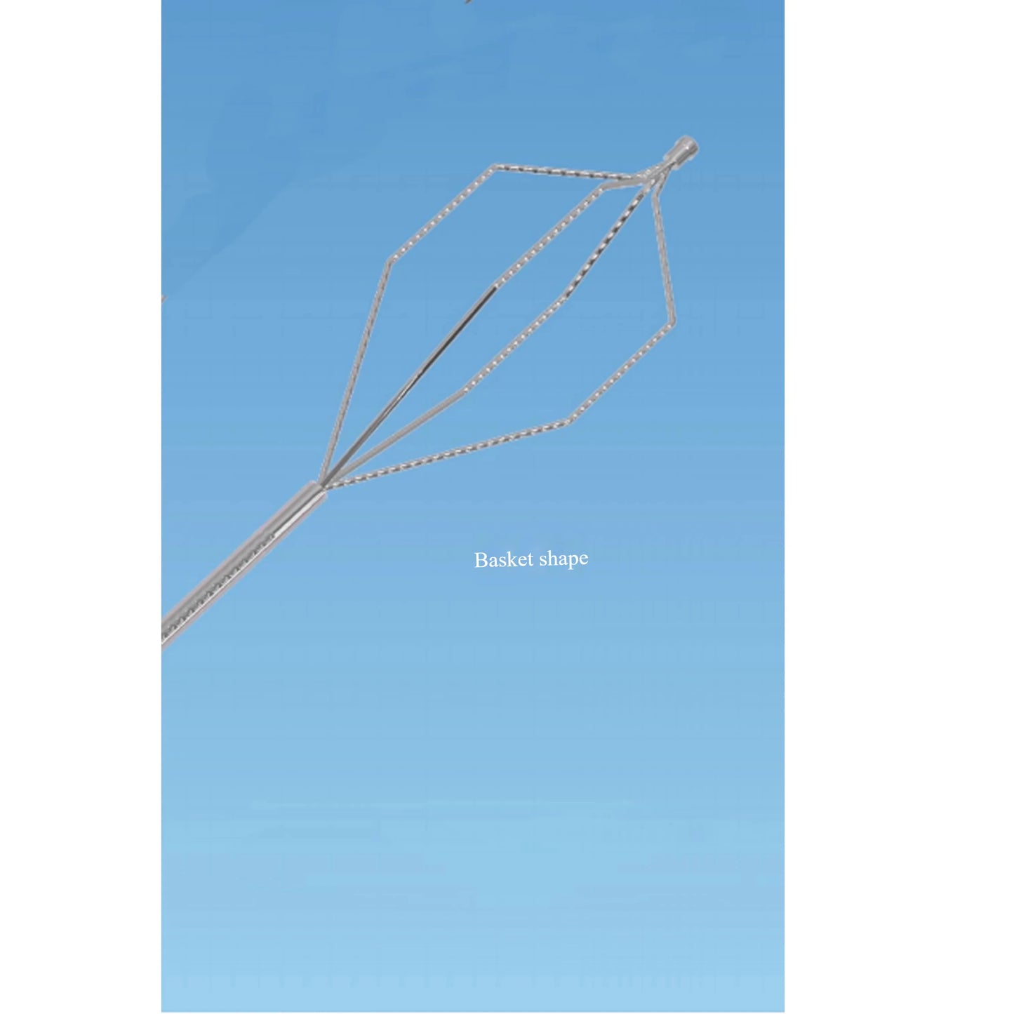 Flexible Grasping Endoscopy Foreign Body Forceps Accessories for Gastrointestinal & Bronchial Urology Use Clinic Accessory
