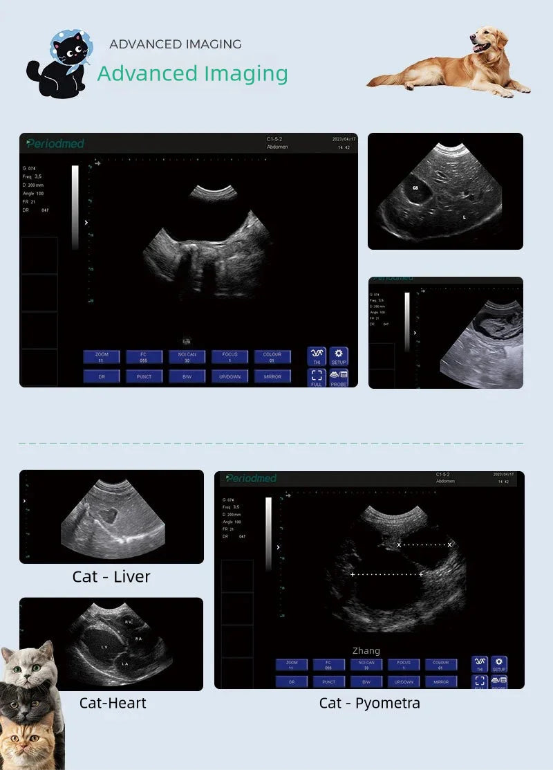 Ecógrafo veterinario portátil para mascotas - Cardiología, urología, ginecología, obstetricia, órganos pequeños, vascular, musculoesquelético