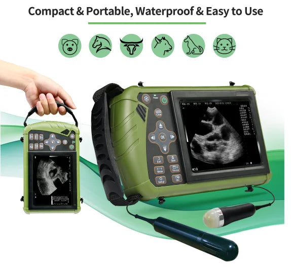 HAND-HELD VETERINARY ULTRASOUND , sheep/cattle/horses pregnancy diagnosis, convex/rectal probe，3.5MHz,veterinary equipment