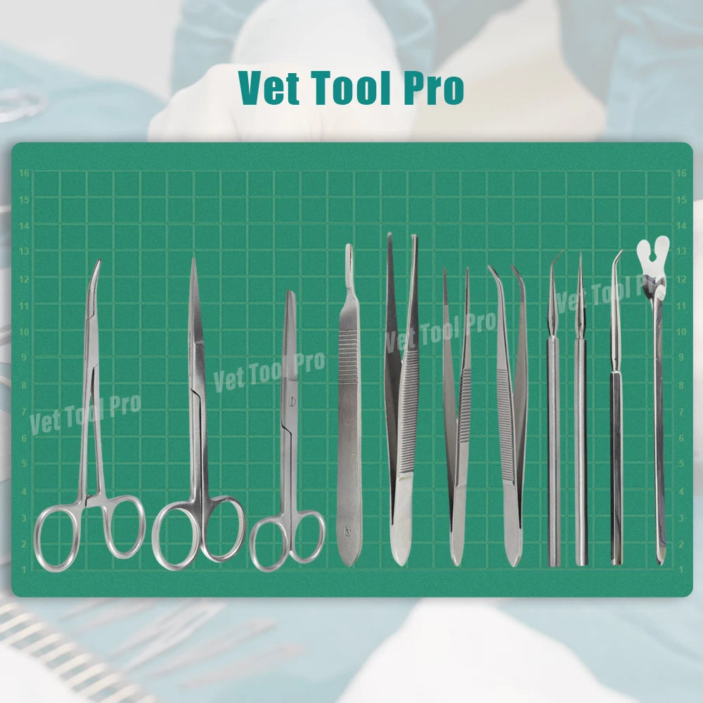 11-Piece Veterinary Training Tool Kit, 11 Blades, Premium Stainless Steel – Professional pet Care Accessories