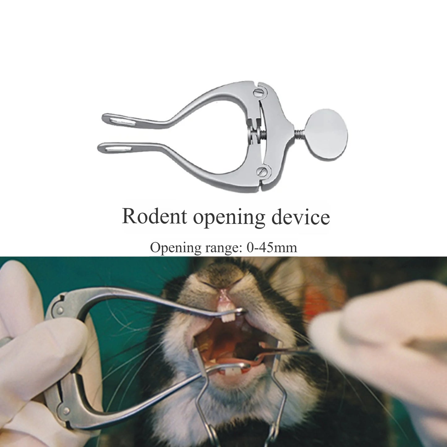 Rodent small animal pet opener, cheek expander, dental surgical instrument, mouth opening