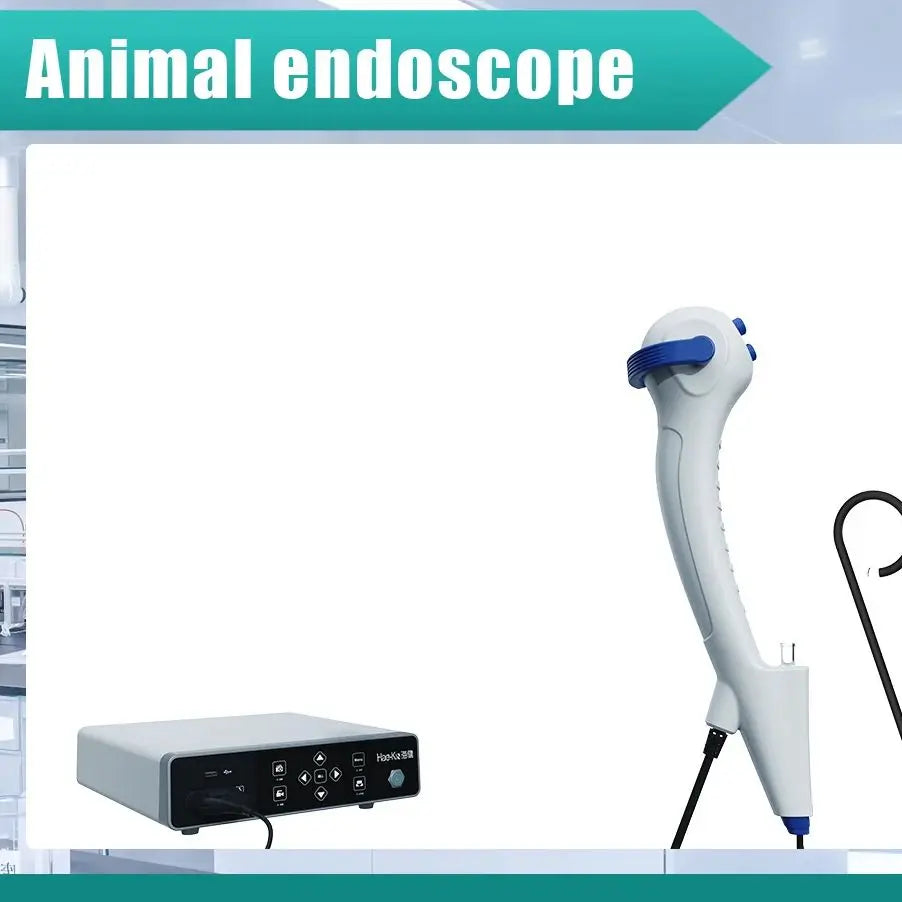 Veterinary Flexible Endoscopy, 1.95mm/2.5mm/3mm/4.3mm/5mm/5.5mm endoscopes