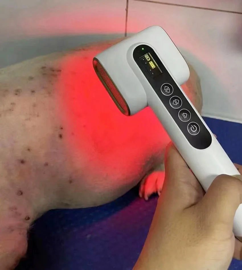 Animal red and blue spectrum therapy device to speed up wound healing pet skin treatment, pet hospital revenue boosting device