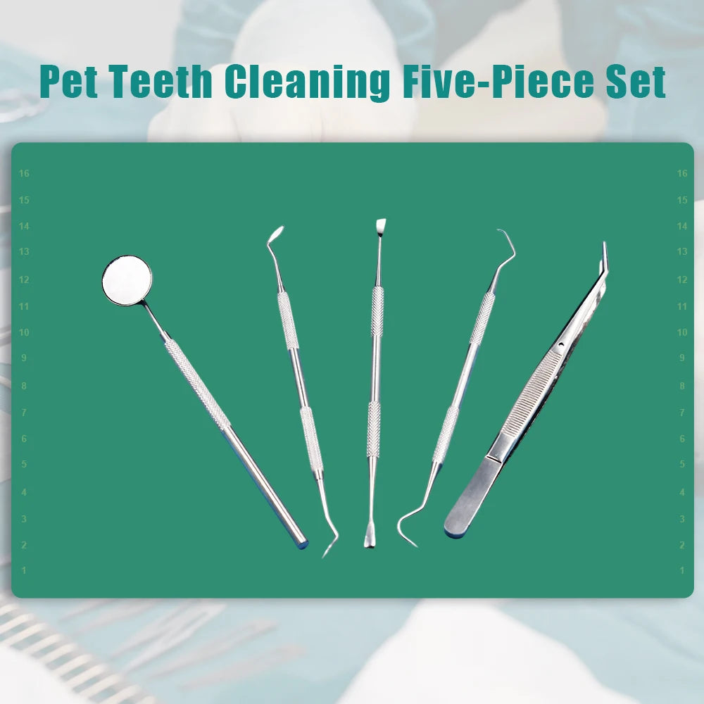 Kit de cuidado dental para mascotas de acero inoxidable - Herramientas para eliminar el sarro para perros y gatos, sonda, pinzas, espejo bucal y raspadores