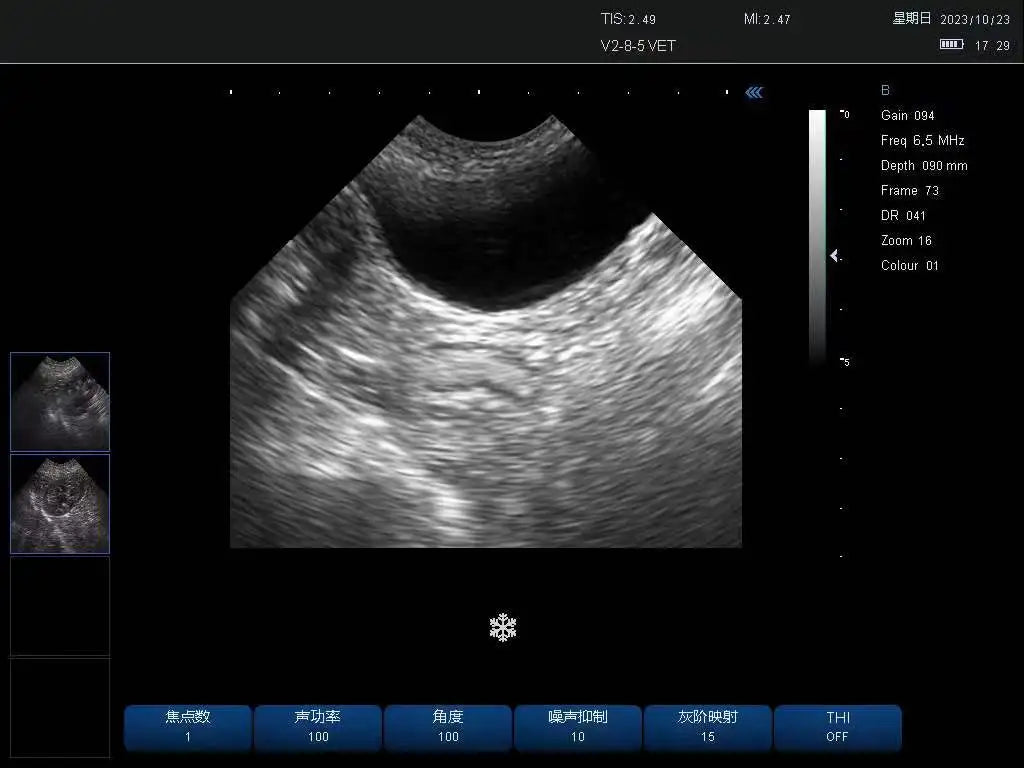 Ecógrafo veterinario portátil para mascotas - Cardiología, urología, ginecología, obstetricia, órganos pequeños, vascular, musculoesquelético