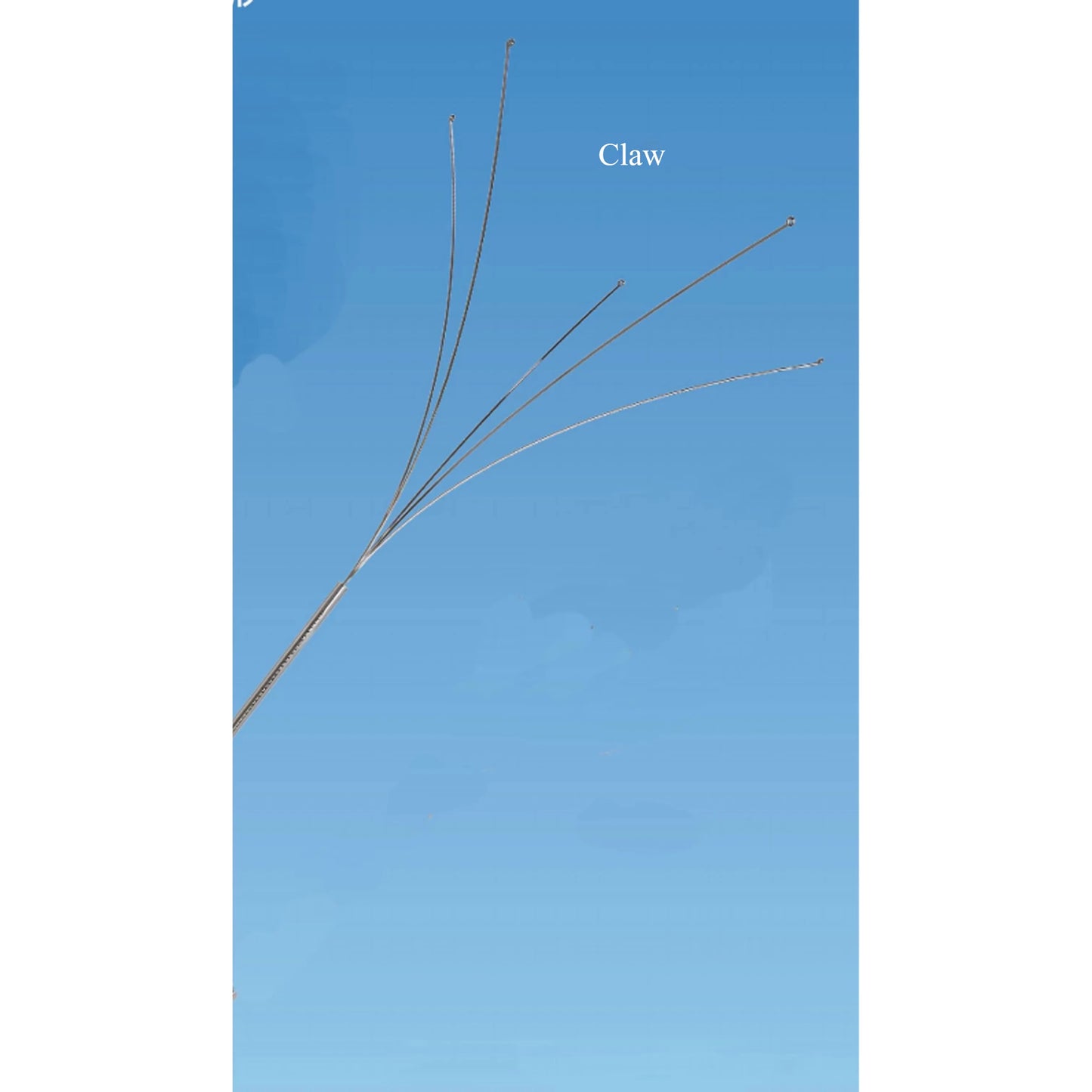 Flexible Grasping Endoscopy Foreign Body Forceps Accessories for Gastrointestinal & Bronchial Urology Use Clinic Accessory