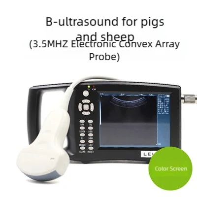 Veterinary Ultrasound ,6.5MHz probe for Horses/Swine/Equine/Bovine/Sheep/goat/camel,Veterinary Equipment, animal pregnancy test
