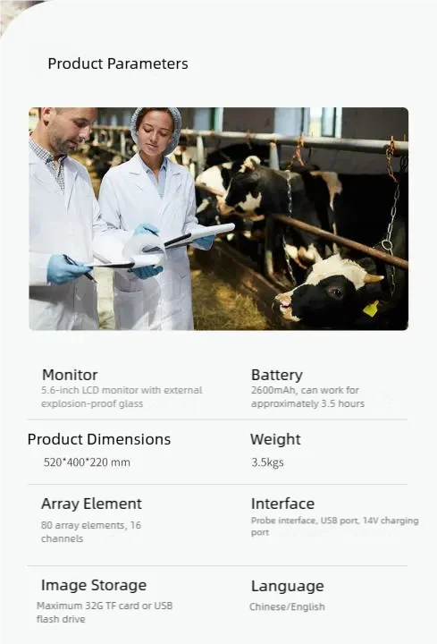 ALL animal veterinary Ultrasound, 3.5/5.0/6.5Hz, waterproof ,Veterinary Equipment, animal pregnancy test