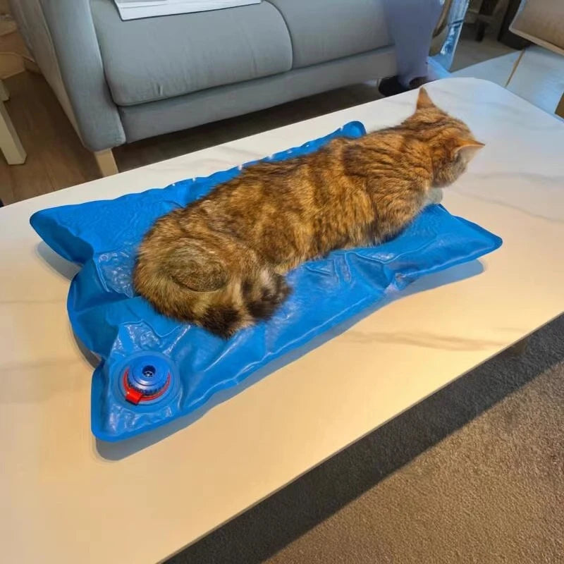 Animal Surgical Accessories Pet Vacuum Positioning Mat Small Veterinary Examination Pad,60-100cm, pet clinic equipment