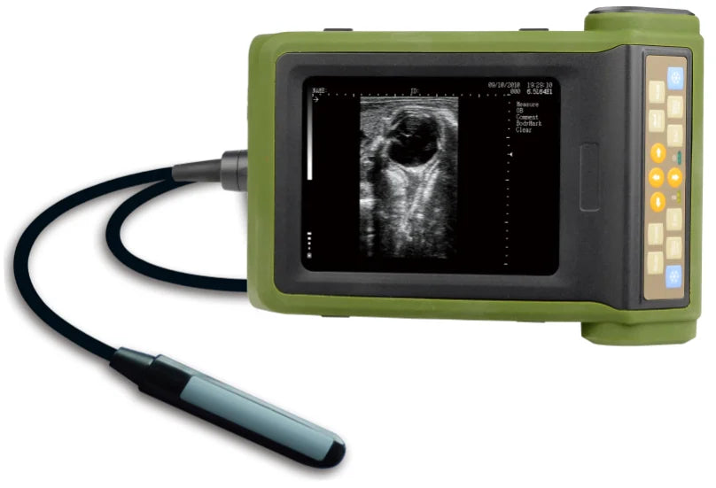 Vet Ultrasound, Mechanical ultrasonic diagnostic for sheep/dog/pig, 5.7 "high resolution color LED ,3.5MHz waterproof probe