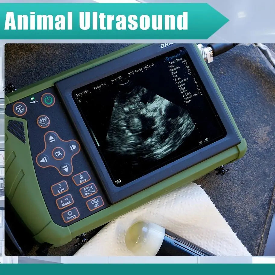 HAND-HELD VETERINARY ULTRASOUND , sheep/cattle/horses pregnancy diagnosis, convex/rectal probe，3.5MHz,veterinary equipment