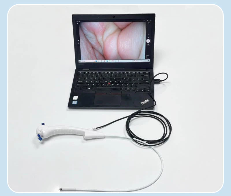 Veterinary Flexible Endoscopy, 1.95mm/2.5mm/3mm/4.3mm/5mm/5.5mm endoscopes