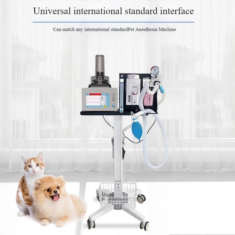 Veterinary Anesthesia Ventilator with Touch Screen - Automatic IPPV Respirator for Small Animals | Compatible with Anesthesia Ma