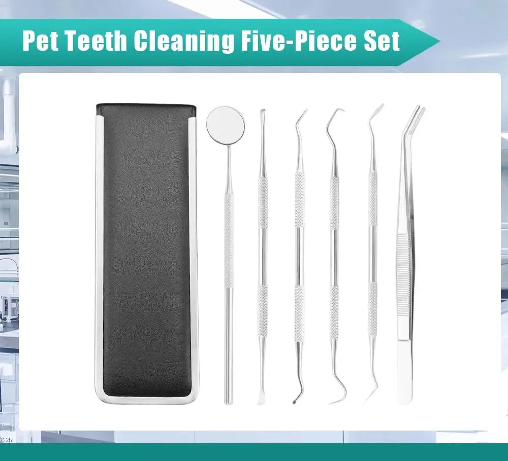 Kit de cuidado dental para mascotas de acero inoxidable - Herramientas para eliminar el sarro para perros y gatos, sonda, pinzas, espejo bucal y raspadores