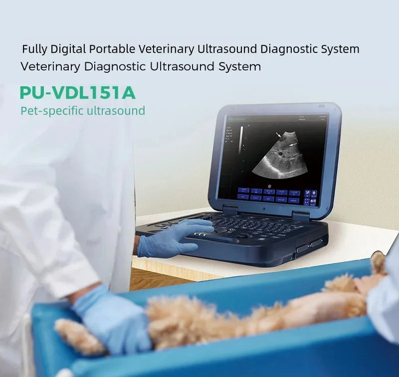 Ecógrafo veterinario portátil para mascotas - Cardiología, urología, ginecología, obstetricia, órganos pequeños, vascular, musculoesquelético
