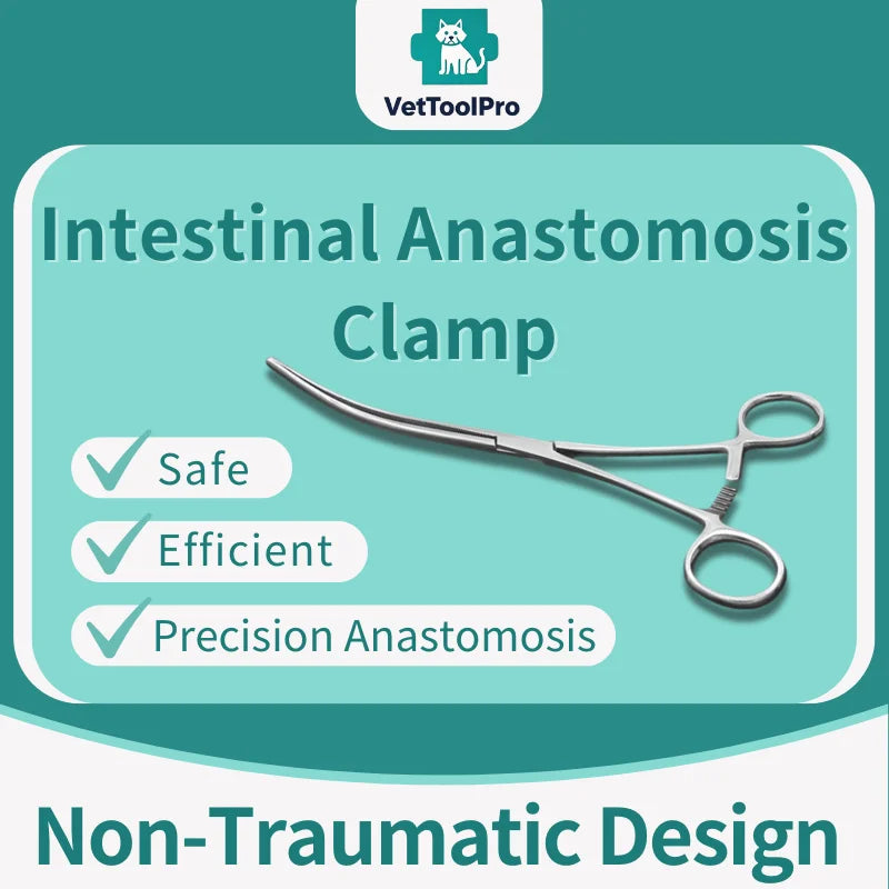 stainless steel Intestinal forceps, anastomotic forceps,  fixing and holding the intestine, straight and curved,16.5-22cm