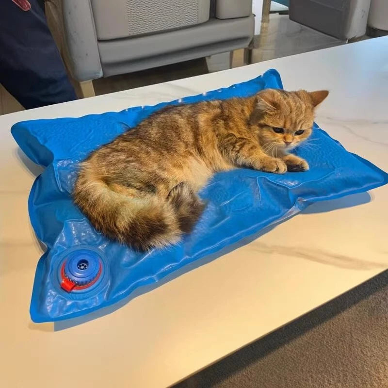 Animal Surgical Accessories Pet Vacuum Positioning Mat Small Veterinary Examination Pad,60-100cm, pet clinic equipment