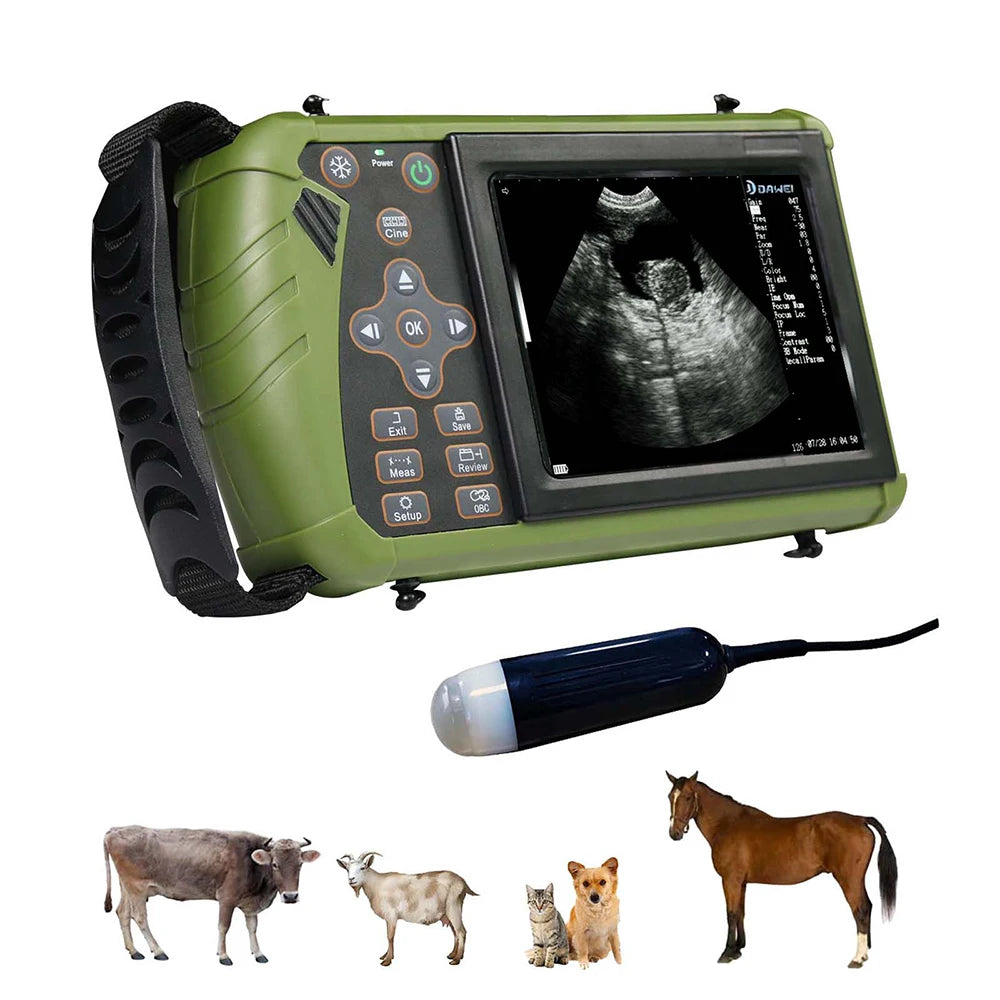 HAND-HELD VETERINARY ULTRASOUND , sheep/cattle/horses pregnancy diagnosis, convex/rectal probe，3.5MHz,veterinary equipment