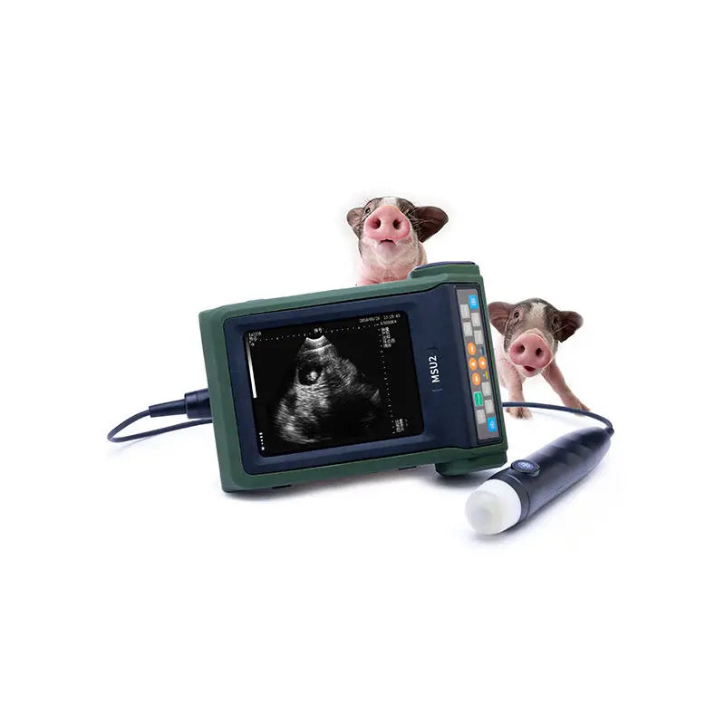 Vet Ultrasound, Mechanical ultrasonic diagnostic for sheep/dog/pig, 5.7 "high resolution color LED ,3.5MHz waterproof probe
